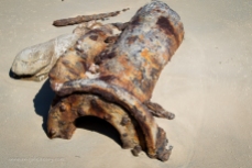 Rusty Relics at Wreck Bay